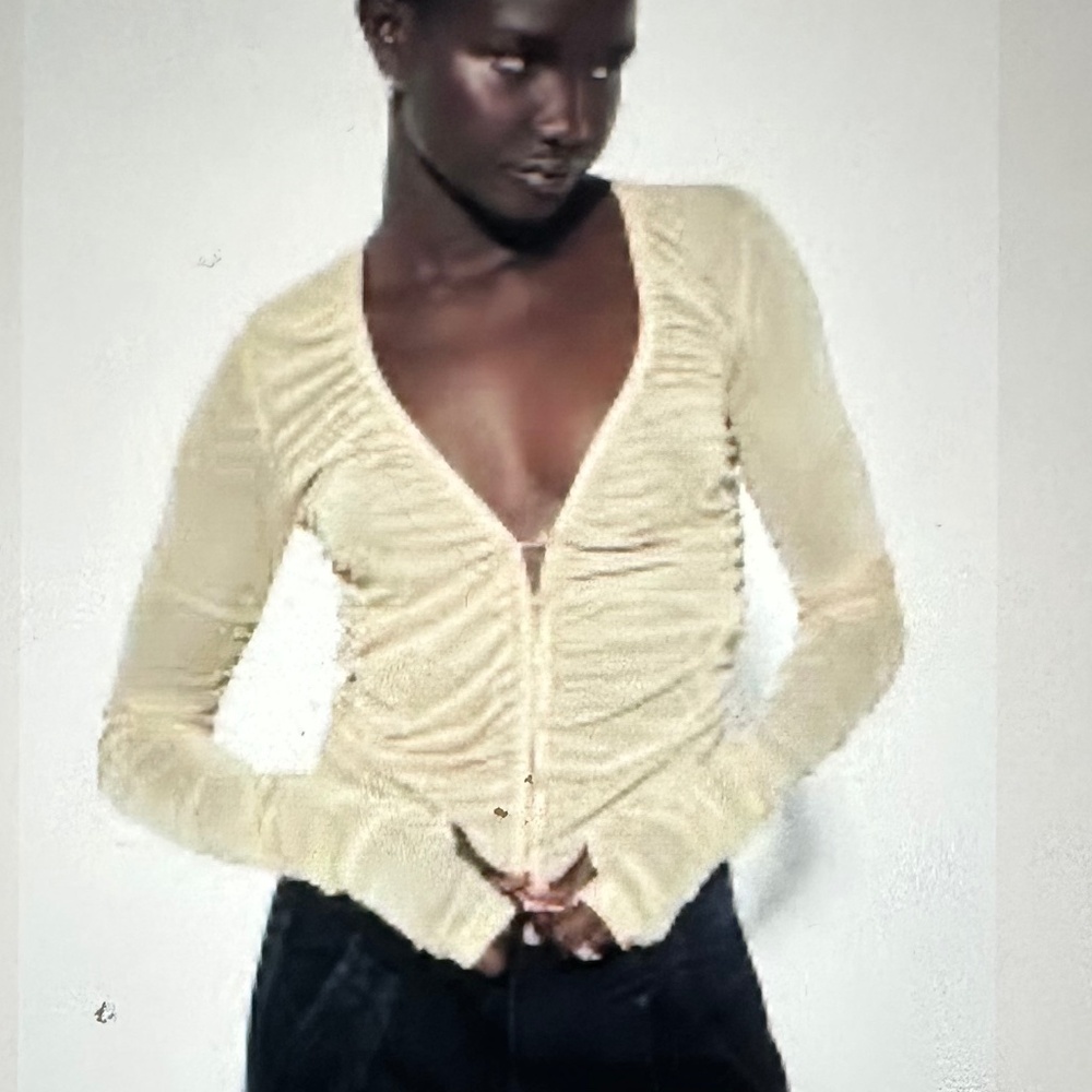 Zara Fitted Tulle Button-front Top. NWT